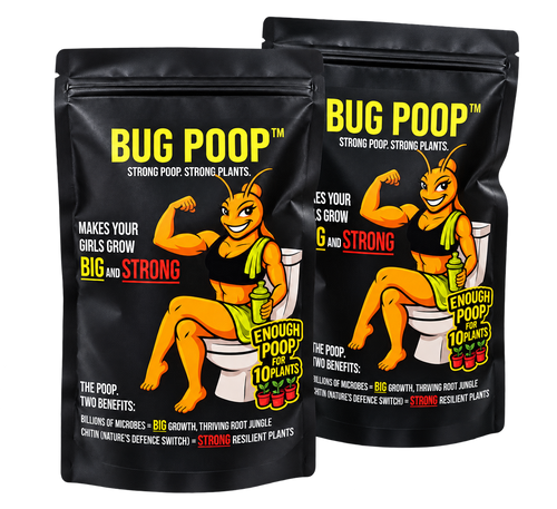 Two 300g Bug Poop cricket frass bags